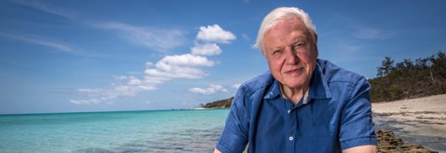 David Attenborough returns to film the Great Barrier Reef